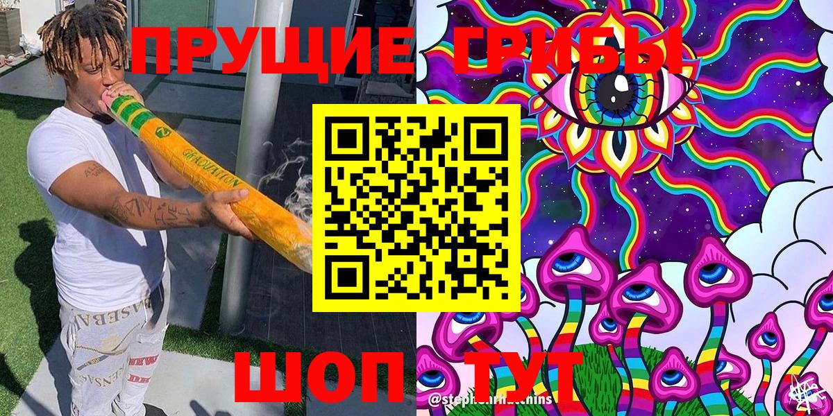 Псилоцибиновые грибы Cubensis  Вход с VPN  купить  цена  Кириши 