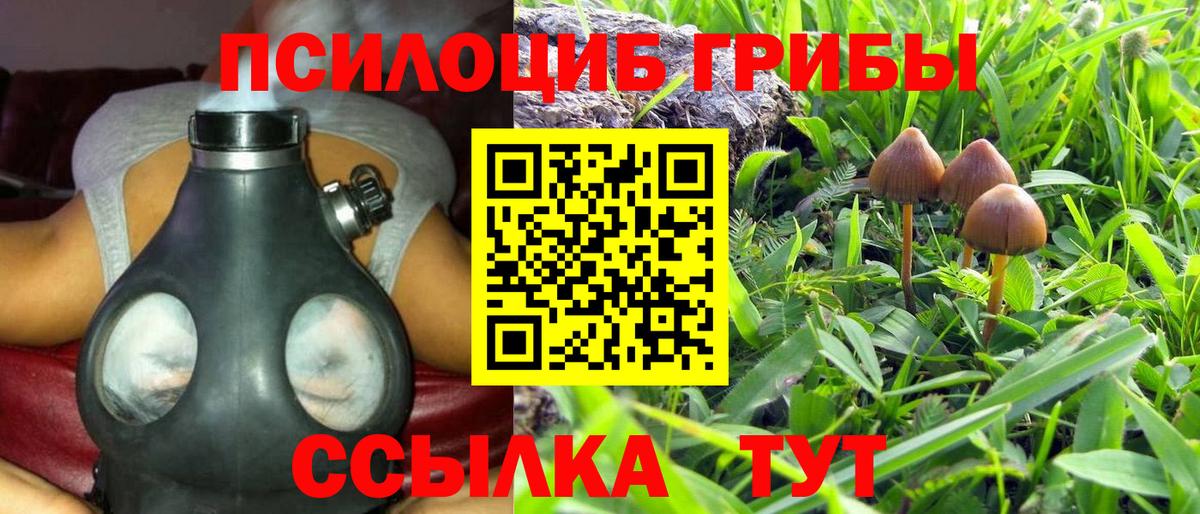 Псилоцибиновые грибы мицелий Кириши