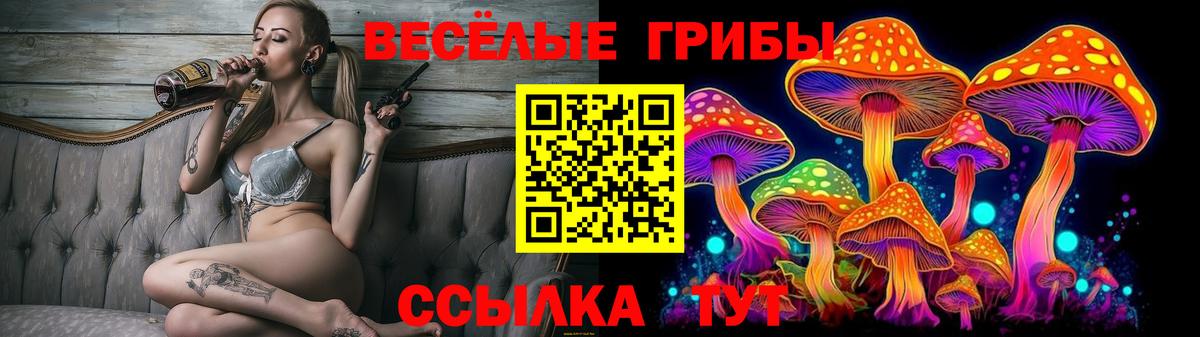 А ПВП Кириши